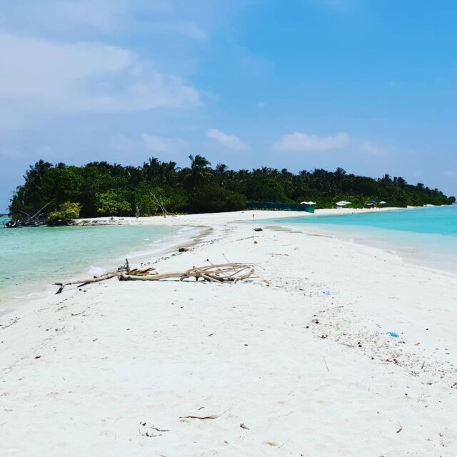 Omadhoo Maldives dream island.
#theluckyworld #omadhoomaldives #maldivesbeach  #maldivesisland #dreamtravel