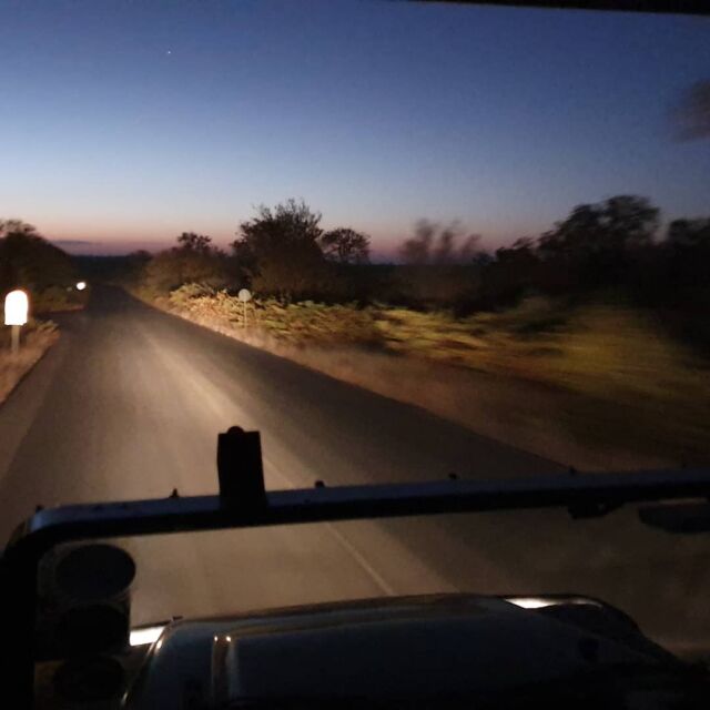 Il Sudafrica non è solo un viaggio, è un'esperienza sensoriale...
#southafrica #krugerpark #sensorialtravel #lovesouthafrica